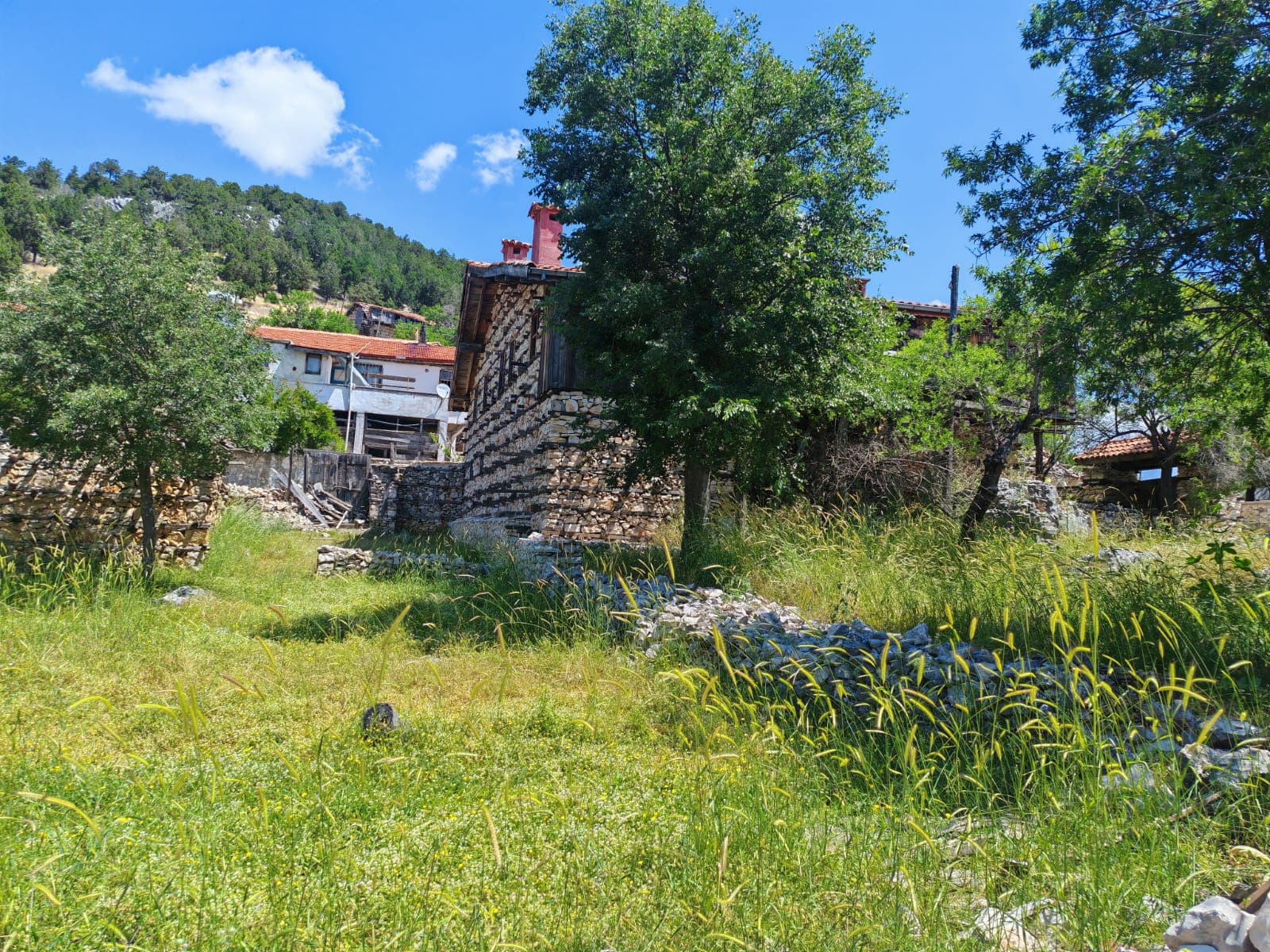 Sarıhacılar köyünün taş evleri yeşil ağaçlar ve otlar arasında, arkada ormanlık tepe